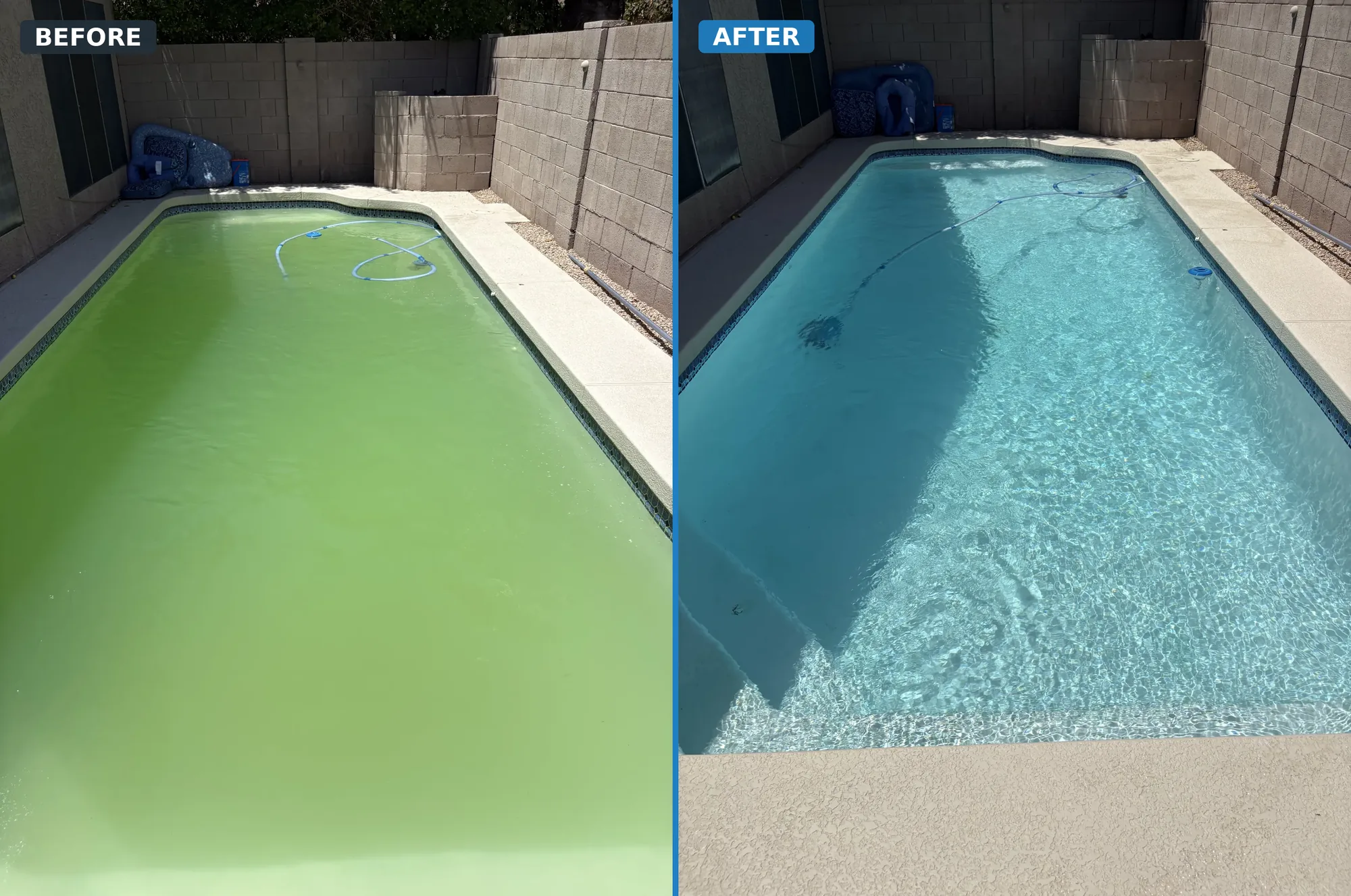 Green algae-filled pool before cleaning next to the same pool crystal clear after Bell Road Pool Care treatment